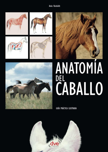 Libro: Anatomía Del Caballo (spanish Edition)