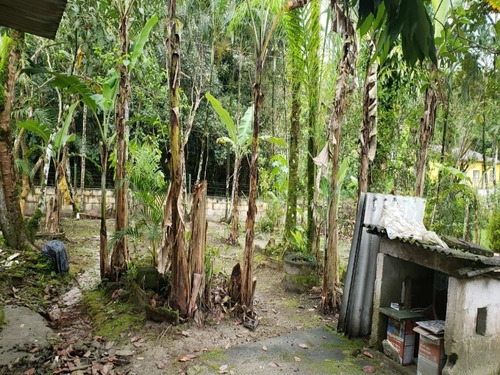 Chácara Em Itanhaém - 2076 - 34451334