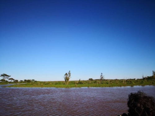 Imagen 8 de 29 de Campo De Isla Ganadero, 2.000 Has Sobre El Paranacito
