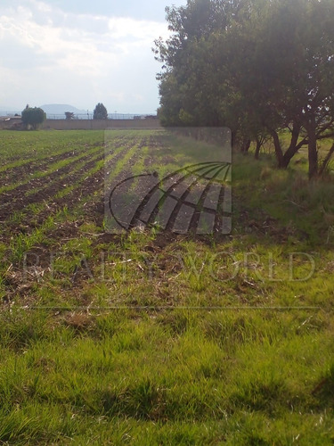 Terrenos En Venta En San Miguel Totocuitlapilco