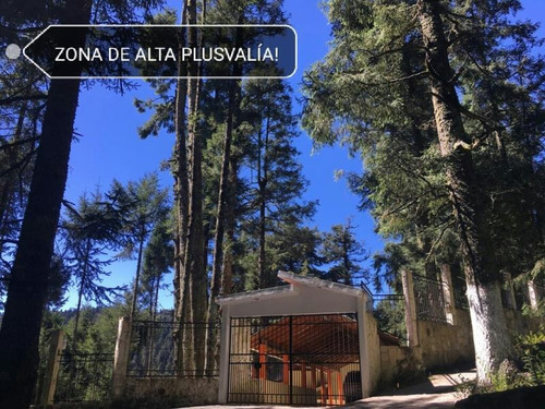 Imagen 1 de 12 de Terreno En Venta Dentro De Impresionante Bosque, Tenemos Lotes Escriturados!