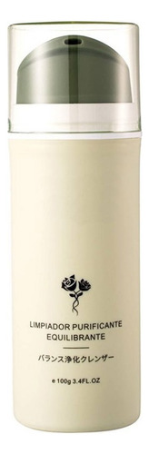 Gel Facial Desmaquillante Limpia Equilibra Skin Care 100g