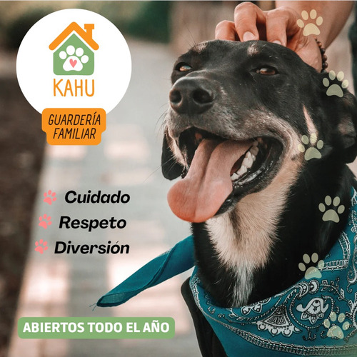 Kahu | Guardería Familiar Canina - Zona Norte San Fernando