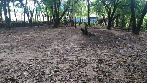 Área No Chácara Cotia - 3641