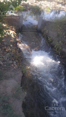 Venta De Campo En San Rafael, Mendoza