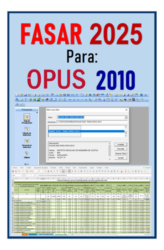 Fasar 2025 Para Opus 2010 (factor De Salario Real)