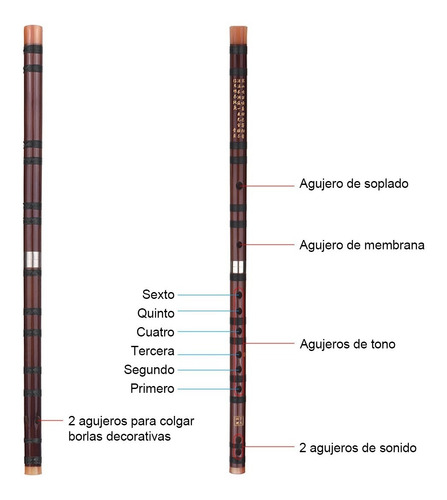 D Clave Chino Tradicional Instrumento Dizi Bambú Amargo