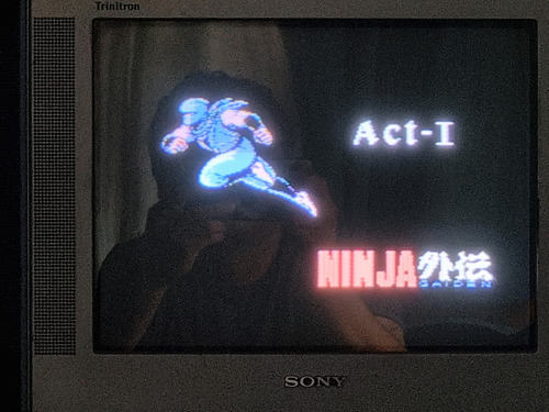 Ninja Gaiden Cartucho Original Nintendo Nes (Usado)