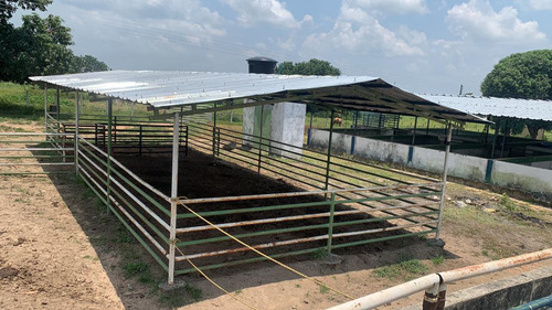 Vendo Finca. Tinaco (nc)