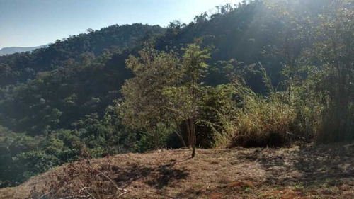 Imagem 13 de 15 de Lote / Terreno Em Corrêas - Petrópolis - 7595