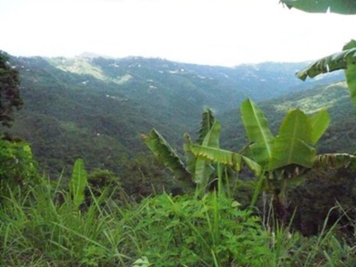 Imagen 4 de 6 de Terreno San José De Los Altos La Osi 1239 M2