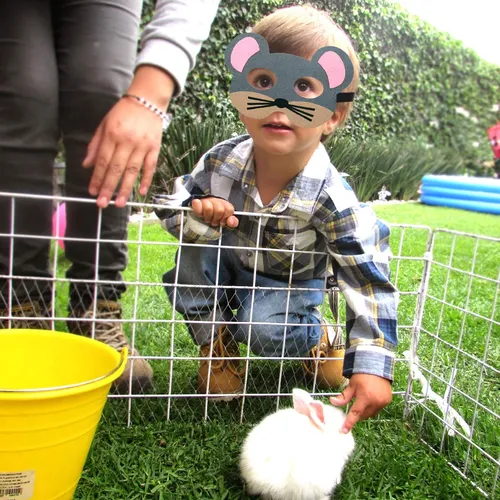 Ciyvolyeen Mascaras De Fiesta De Animales De Granja, Mascara