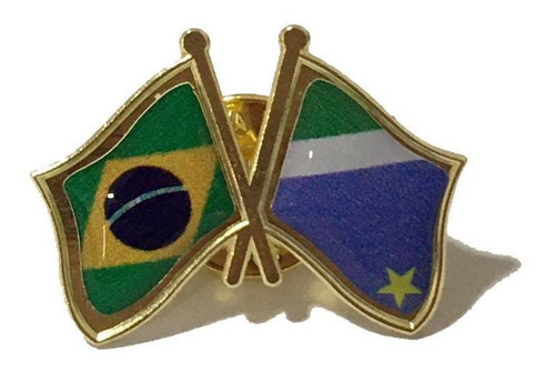 Pin Da Bandeira Do Brasil X Mato Grosso Do Sul