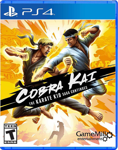 Cobra Kai The Karate Kid Saga Continues Ps4