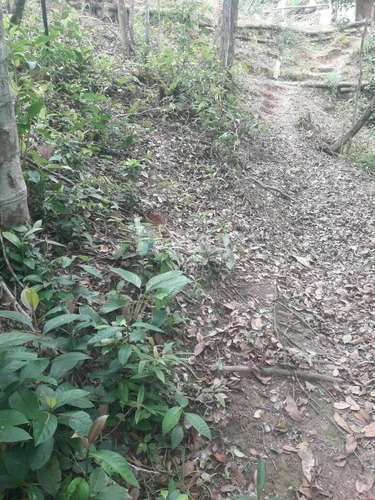 Imagem 6 de 20 de Chácara À Venda No Bairro Brilhante Ii - Itajaí/sc - 2156c