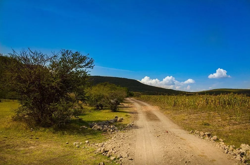 terreno campestre en venta, camino a jalpa en san miguel de mercadolibre