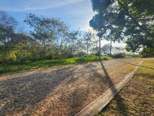 Venta Lote San Diego 152 Mz Xiii Con Todos Los Servicios, Vistas Panorámicas, Proyecto Arquitectónico Incluído En Av Principal Fracc Rancho San Diego Ixtapan De La Sal Edomex