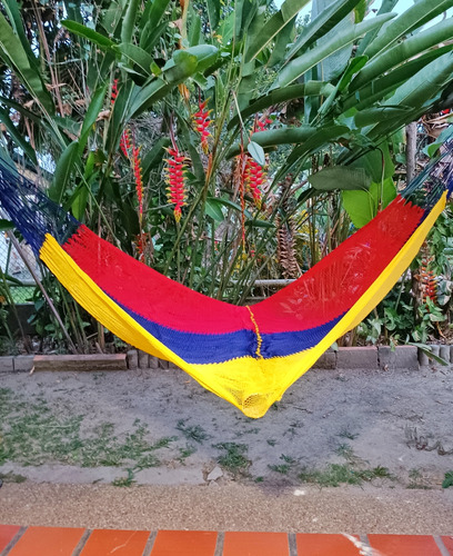 Chinchorro Individual