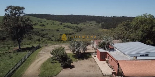 38 Has Con Salon De Fiestas, Cuenta Con Suelo Óptimo Para Plantación De Olivos Y Vid. Consulte!!!!!!!!- Ref: 2509