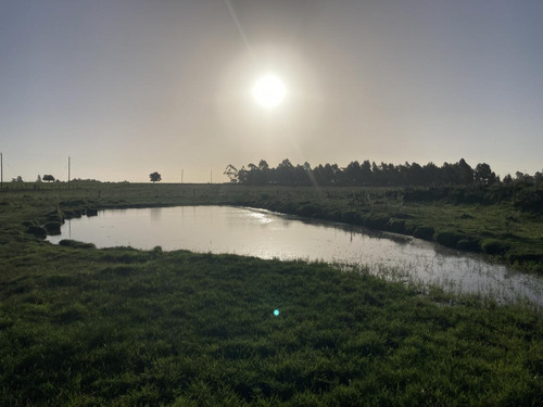 Imagen 13 de 14 de Campo De Casi 12 Hás En Ruta 40
