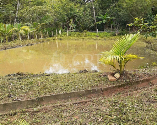 Imagem 2 de 25 de Venda- Linda Chácara 2000m² Com 4 Casas No Total- Buquirinha- Região Norte De São José Dos Campos - Ch00050 - 68456181