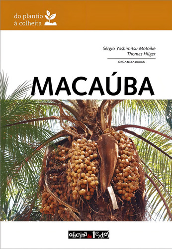 Macaúba: Do Plantio À Colheita, De Sérgio Yoshimitsu Motoike, Thomas Hilger. Editorial Oficina De Textos, Capa Mole, Edição 1 Em Português, 2024