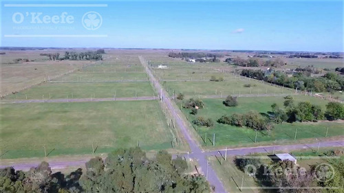 Imagen 3 de 15 de Lote En Venta Coronel Brandsen - Amplios Lotes Oportunidad !!!