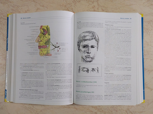 Anatomía Humana - Lajartet Ruiz Liard - 4° Edición - 2 Tomos