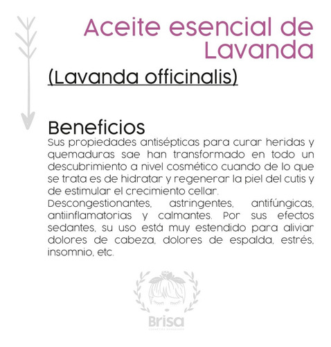 Imagen 2 de 7 de Aceite Esencial Lavanda 10 Ml Aceites Esenciales