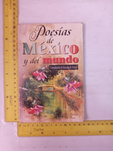 Poesías De México Y Del Mundo Erasmo De Ñáñez