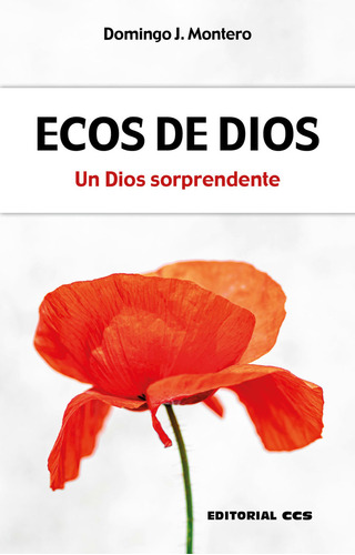 Libro Ecos De Dios - Montero, Domingo J.