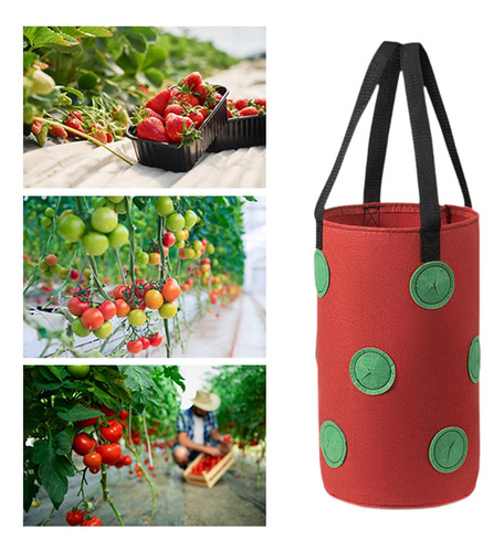 Bolso De Plantador Colgante Bolsas De De Fresa Rojo