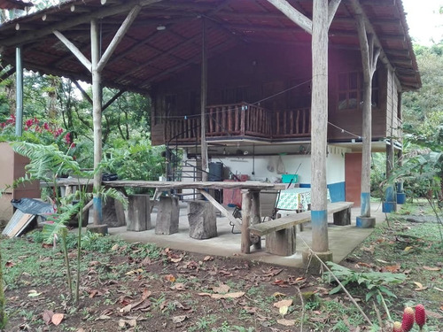 Imagen 2 de 14 de Quinta (3.2ha) Cabaña, Piscina Con Deck, Rancho Y Cabinas.