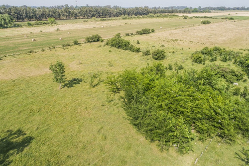 Chacras Venta 4,7 Has Residenciales-productivas Carmelo