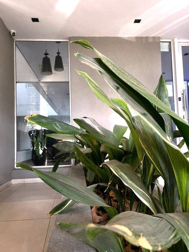 Venta Dpto / Dúplex 1 Dorm Divisible 2 Dorm- Balcón. Quincho Y Parrilla- Av 32 E/4 Y 5-la Plata