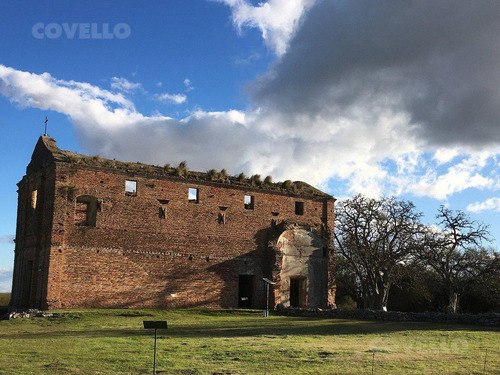 Campo Agricola Carmelo Colonia