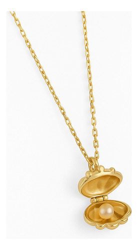 Cadena Con Dije Dorado Concha Con Perla Estilo Elegante Dorado