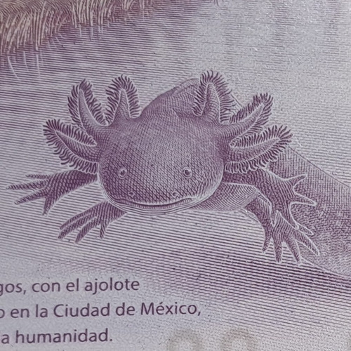 Billete $50 Pesos Ajolote Serie Ag Con Error De Impresión