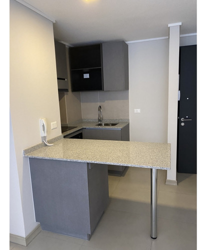 Arriendo Metro Rodrigo De Araya / Zañartu / Ñuñoa