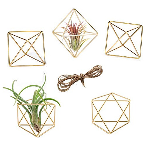 Porta Tillandsias Colgantes De Metal, Juego De 5, Moder...