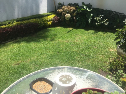 Imagen 14 de 17 de Paseos Del Bosque: Hermosa Casa En Fraccionamiento Privado Para Renta.
