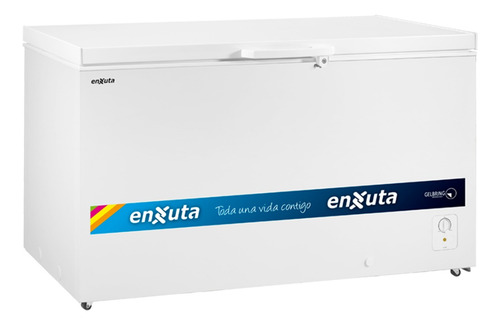 Freezer Horizontal Enxuta Fhenx16420 420 Lts Eficiencia A