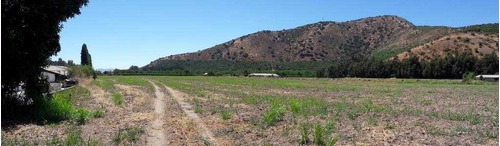 Parcela Agrícola Calera De Tango - San Agustín