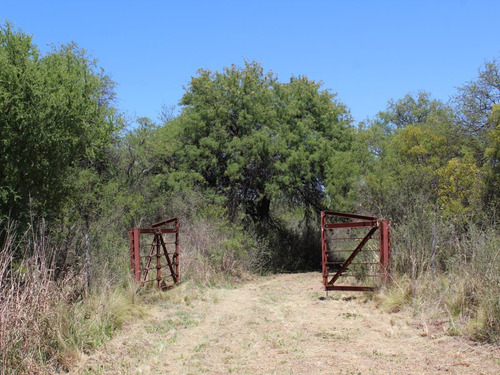 Imagen 2 de 14 de Venta De Campo En Villa Larca Sobre Ruta 6