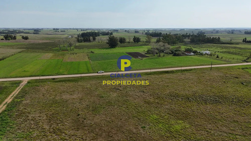 5 Hectáreas En Canelones, Zona De Noya