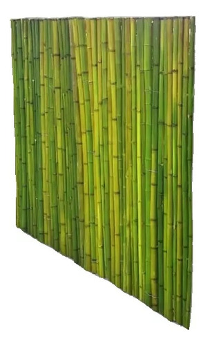 Cerco De Caña De Bambu Tacuara 1m Base X 070 Altura