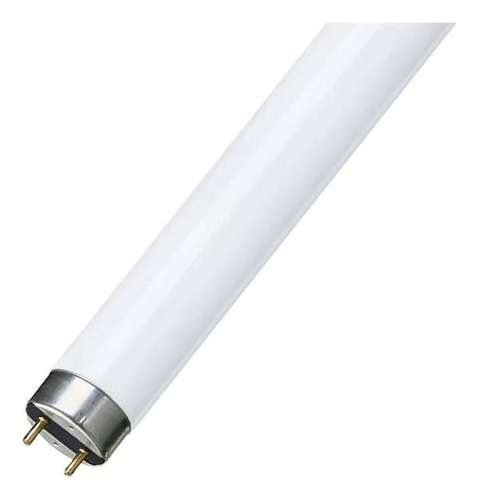 Tubo Fluorescente Philips 36w Luz Cálida 120 Cm Usados!! X6u