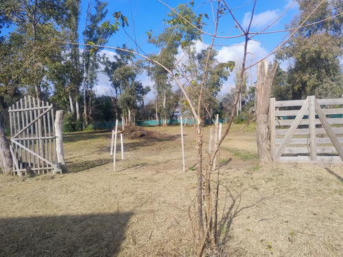Quinta Con 5 Casas A Terminar -20.000 Metros Cuadrados