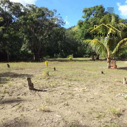 Parcela En Venta Vía Chuspa La Guaira Con Bienhechurias Y Siembra
