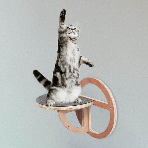 Prateleiras De Gato Montada Na Parede Poleiro De Brinquedo